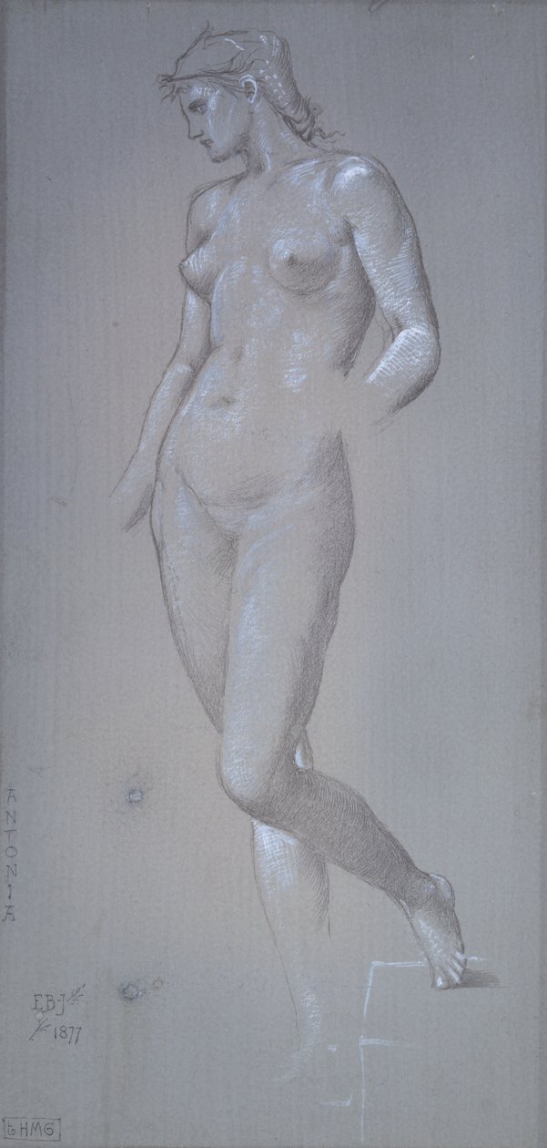 Antonia, 1877 tekijältä Sir Edward Coley Burne Jones