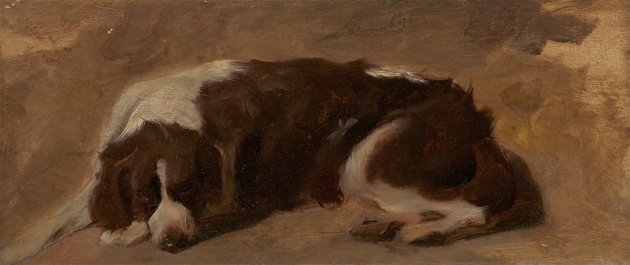 Um Spaniel deitado no finlandês tekijältä Sir Edwin Henry Landseer