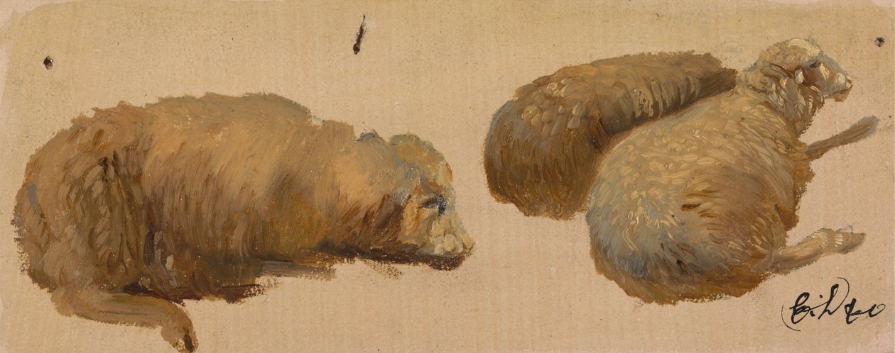 Kolme lammasta levossa tekijältä Sir Edwin Henry Landseer