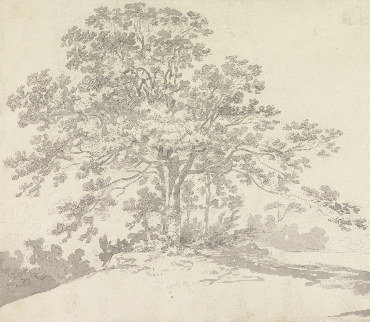 Puu tekijältä Sir George Howland Beaumont seventh Baronet