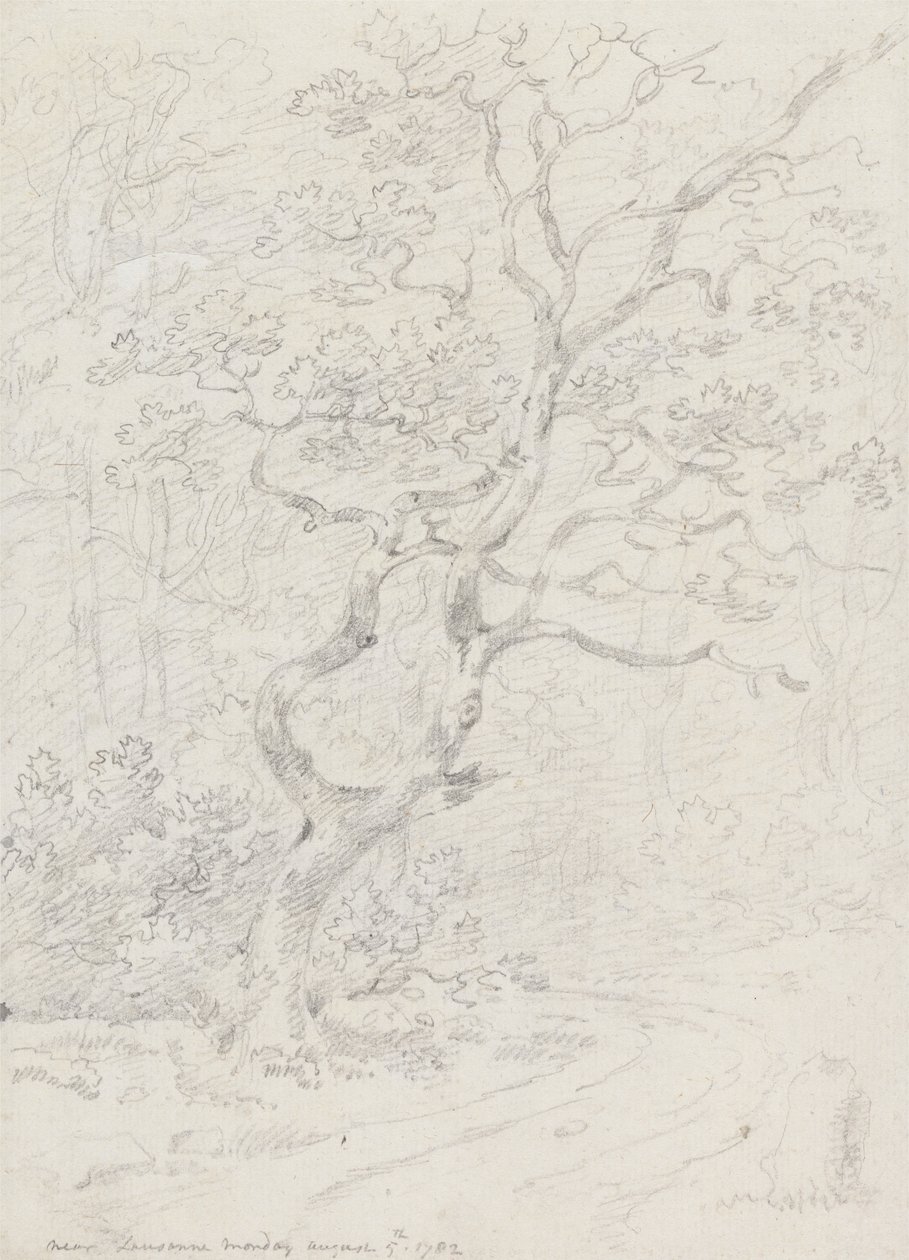 Puut, Lausannen lähellä tekijältä Sir George Howland Beaumont seventh Baronet