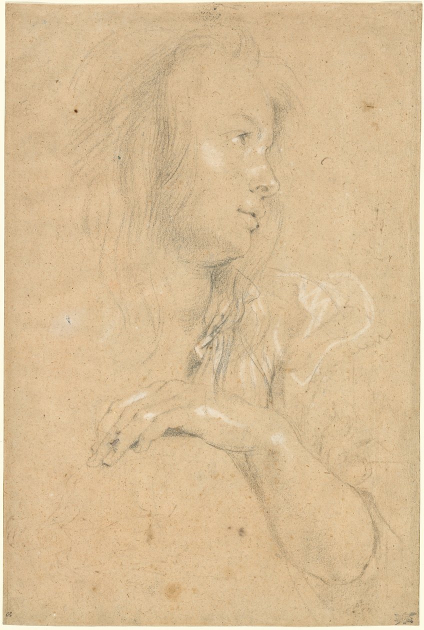 Nuori nainen profiilissa tekijältä Sir Peter Paul Rubens