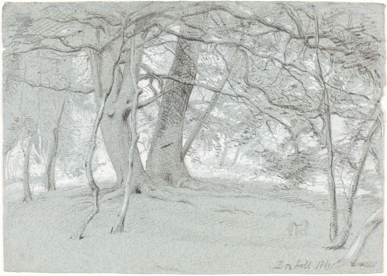 Puut Box Hillillä tekijältä Sir William Blake Richmond