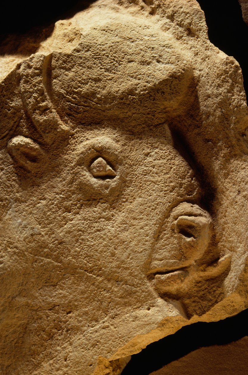 Bas-Relief Veistos Biisonin, kalkkikivi on kuusitoista tuhatta vuotta vanha. tekijältä Sisse Brimberg