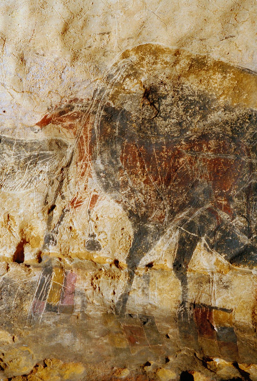 Yksityiskohta kaiverretusta hevosenpäiden maalauksesta, Lascaux. tekijältä Sisse Brimberg