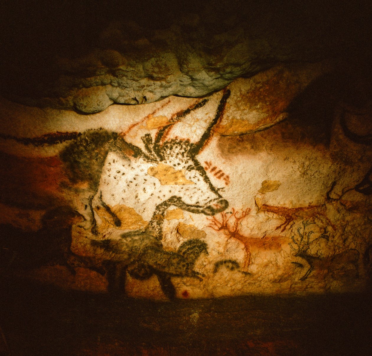Maalaus häränpäästä härän kammiossa, Lascaux