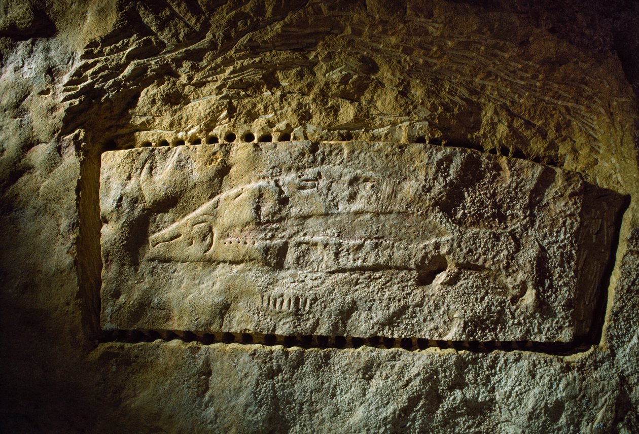 Esihistoriallinen luolakaiverrus kuvaa lohta Abri du Poissonista (Abri du Poisson -kalakallio).... tekijältä Sisse Brimberg