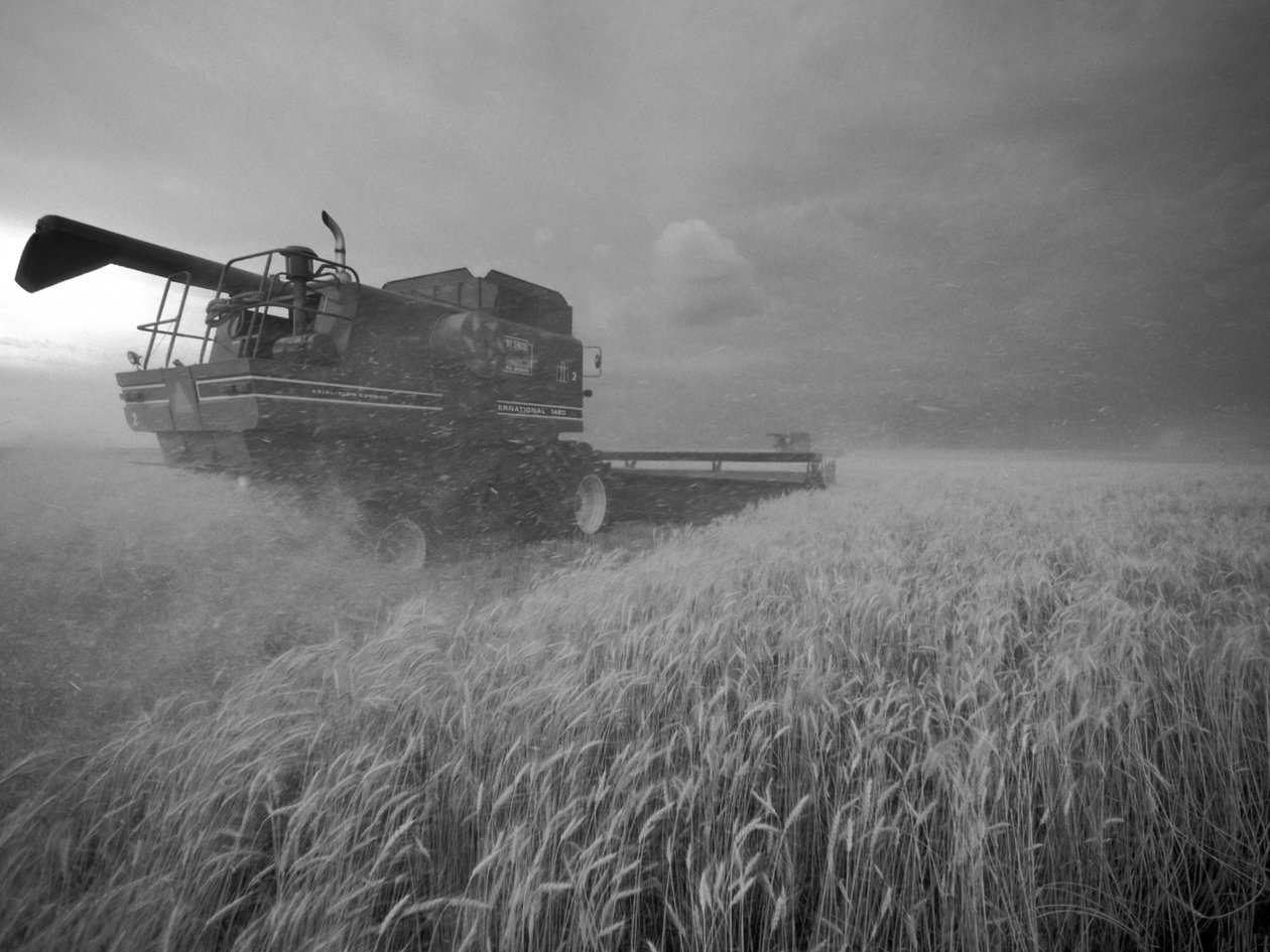 Yhdysvallat, Kansas: Kansas: Kansasin vehnänkorjuu hämärässä kesällä, 2022 (kuva) tekijältä Sisse Brimberg