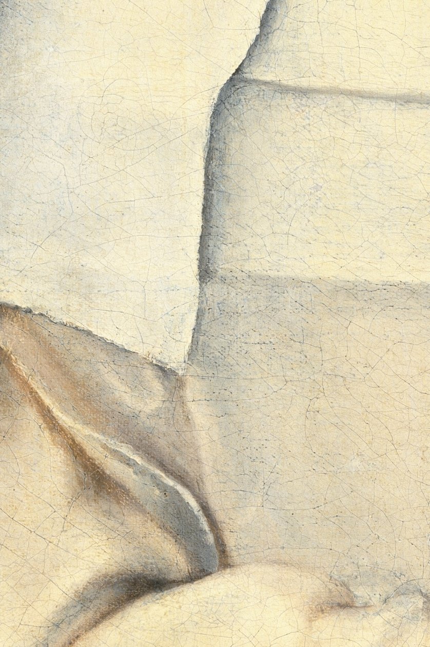 Taiteilijan siskon muotokuva tekijältä Sofonisba Anguissola