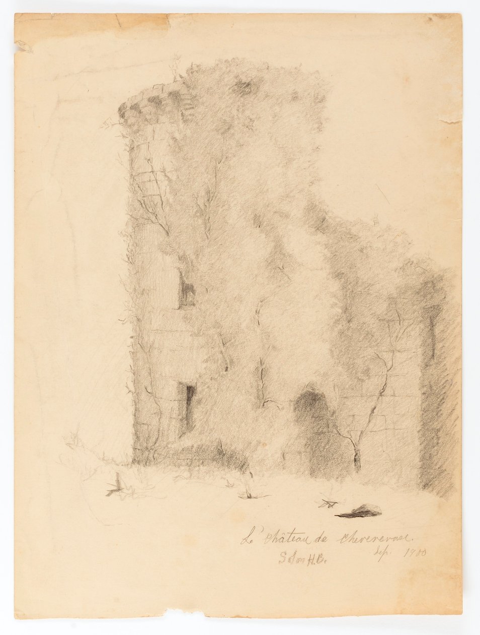 Le Chateau de Chevenevase tekijältä Solon H. Borglum