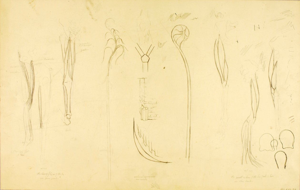 "Sound Construction" -tutkimus tekijältä Solon H. Borglum