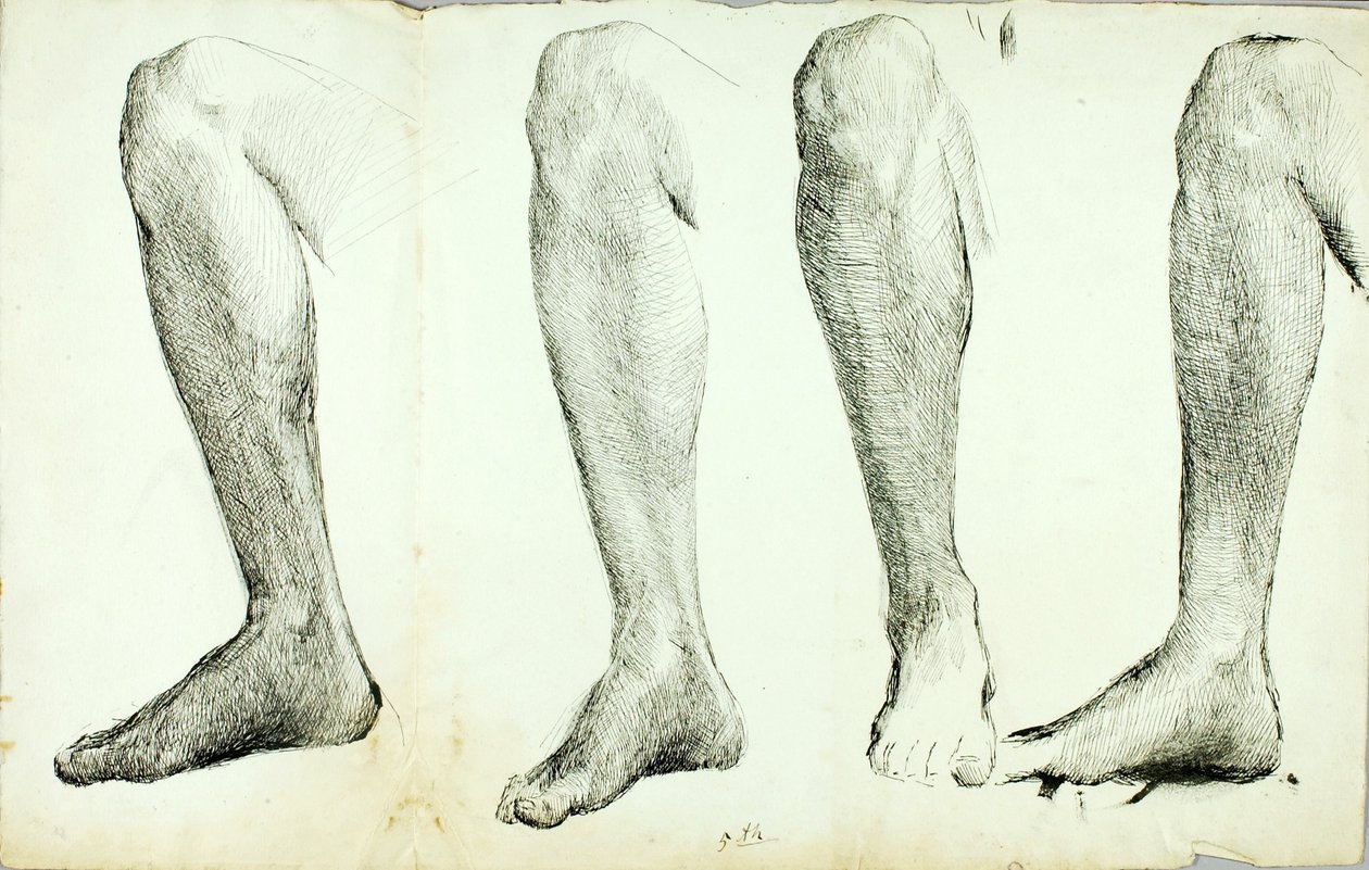 Anatomian opiskelu, #5 tekijältä Solon H. Borglum