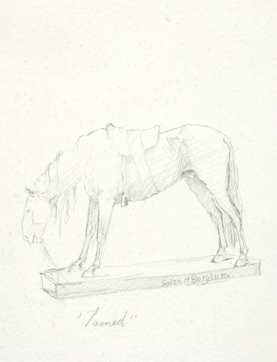 Kesytetty tekijältä Solon H. Borglum