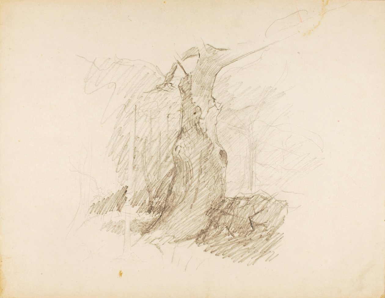 Untitled tekijältä Solon H. Borglum