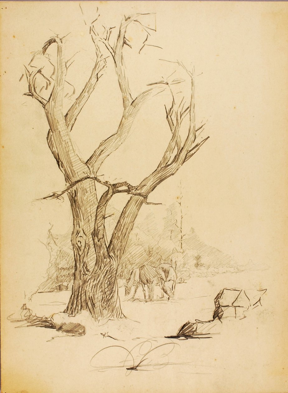 Untitled tekijältä Solon H. Borglum