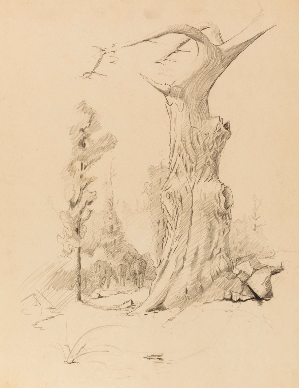 Untitled tekijältä Solon H. Borglum