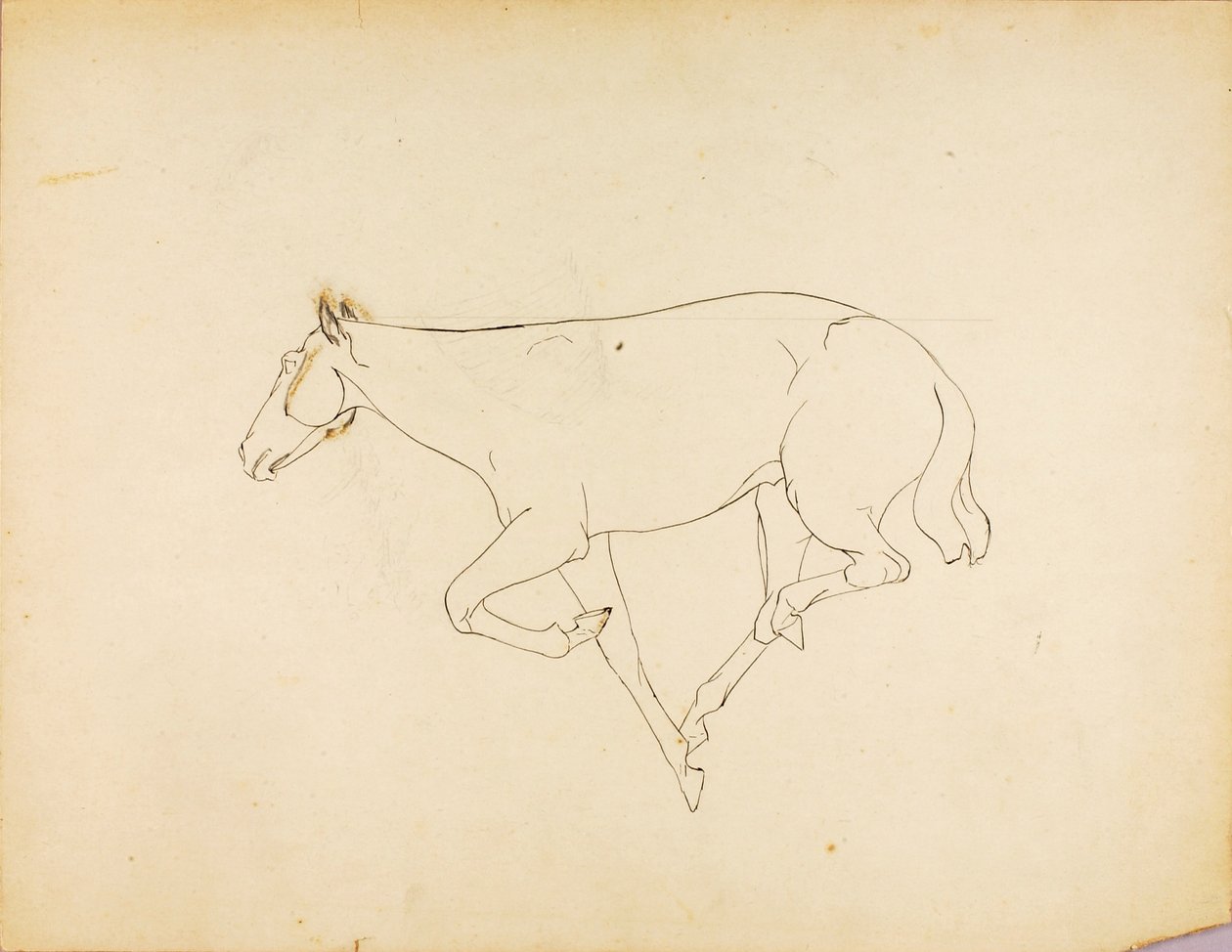 Untitled tekijältä Solon H. Borglum