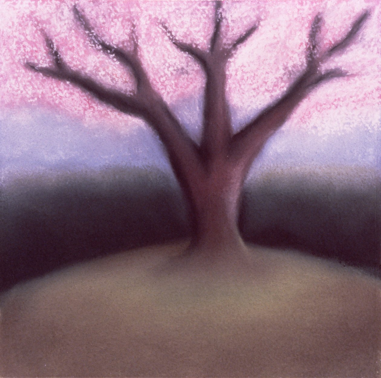 Blossom Tree (pastelli käsintehdylle paperille) tekijältä Sophie Hacker
