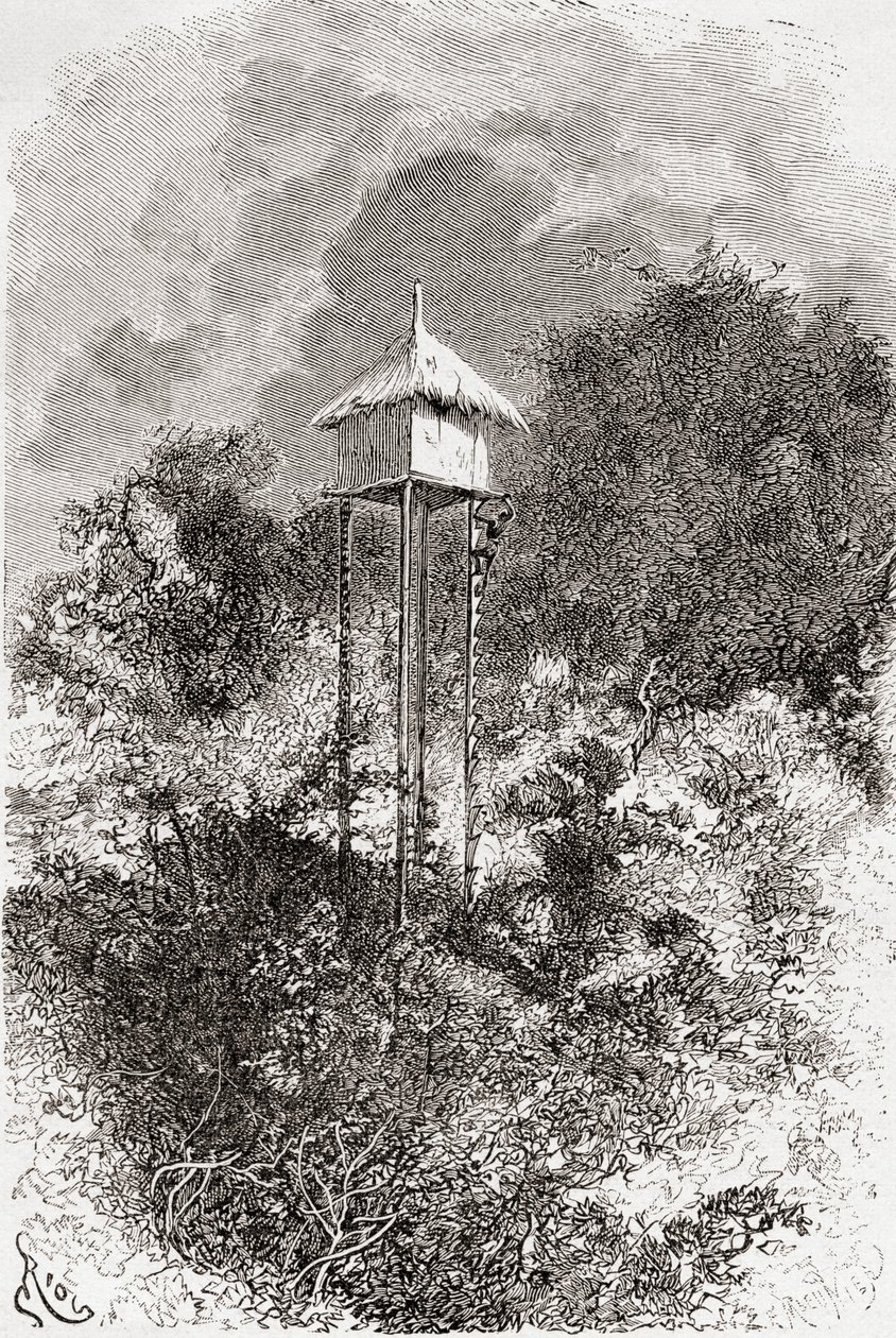 Usagaran aitta, Usagara, Tansania, "Africa Pintoresca", julkaistu 1888 tekijältä Spanish School