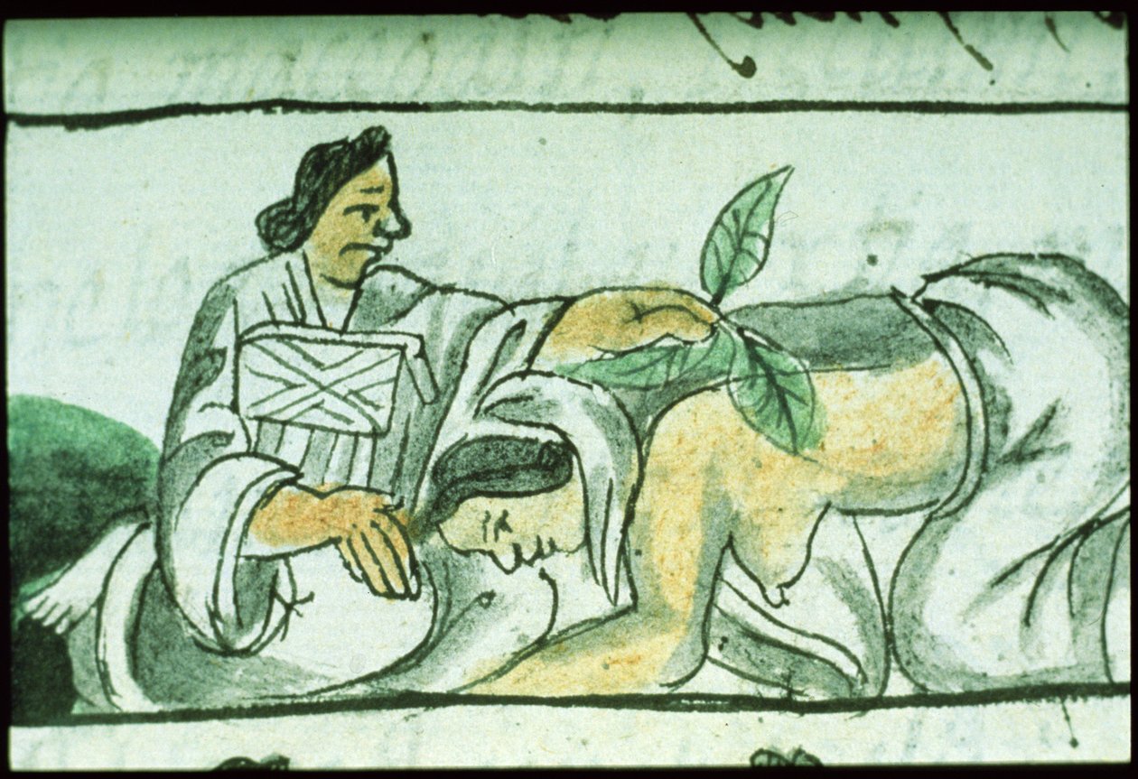 rouva Palat. 218-220 Kirja IX Atsteekkien kätilö, joka antaa yrttejä naiselle synnytyksen jälkeen, Bernardino de Sahagunin "Florentinan koodeksista", n. 1540-85 tekijältä Spanish School