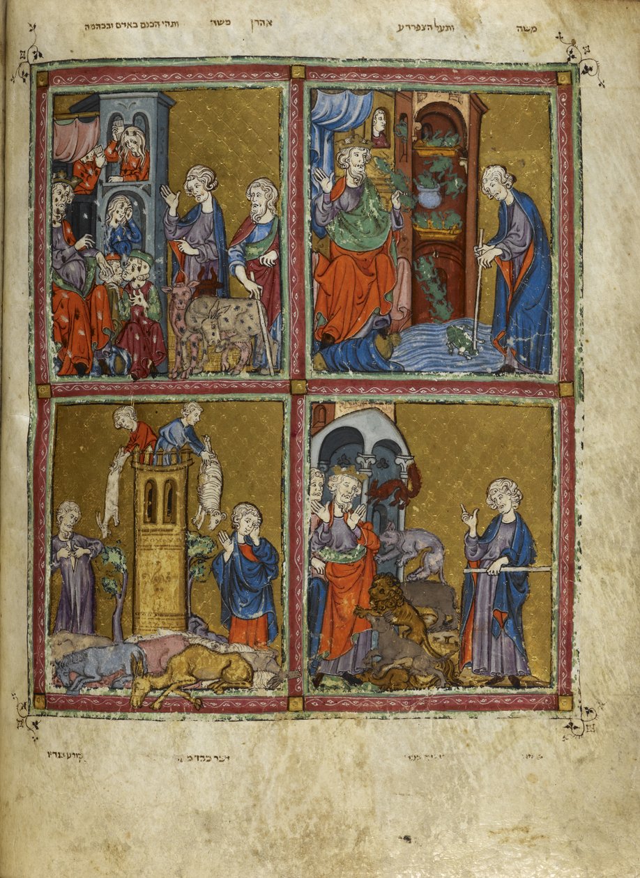Lisätä. 27210, f.12v Kohtauksia Exoduksesta: Täiden, sammakoiden, murreen ja ruton vitsaukset, kuvat "Kultaisesta Haggadasta" (mustetta, väriä ja kultaa perunakalvolla) tekijältä Spanish School