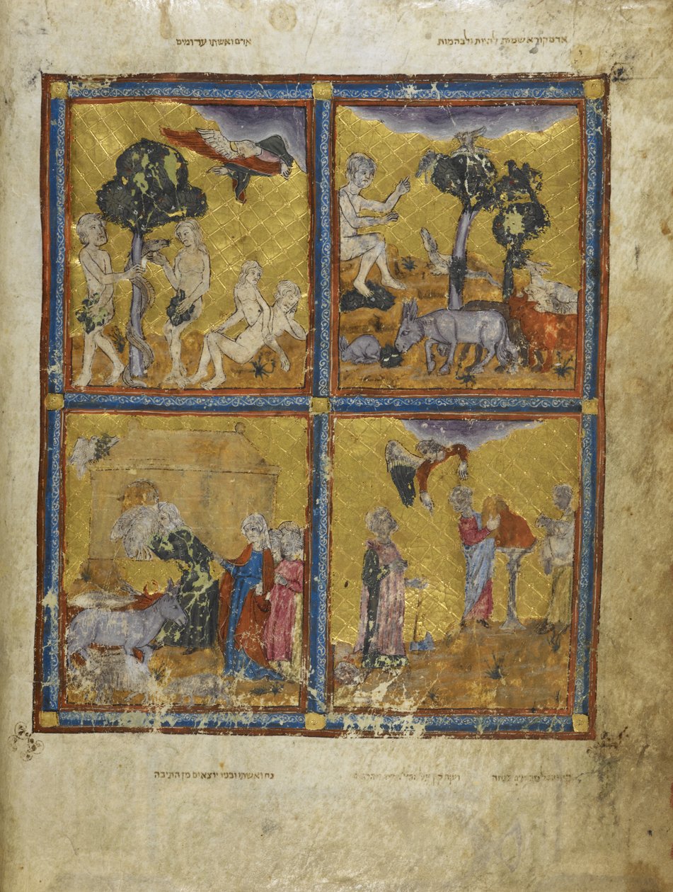 Lisätä. 27210 f.2v Adam ja Eeva, elokuvasta "The Golden Haggadah" (muste, väri ja kulta perunakalvolla) tekijältä Spanish School