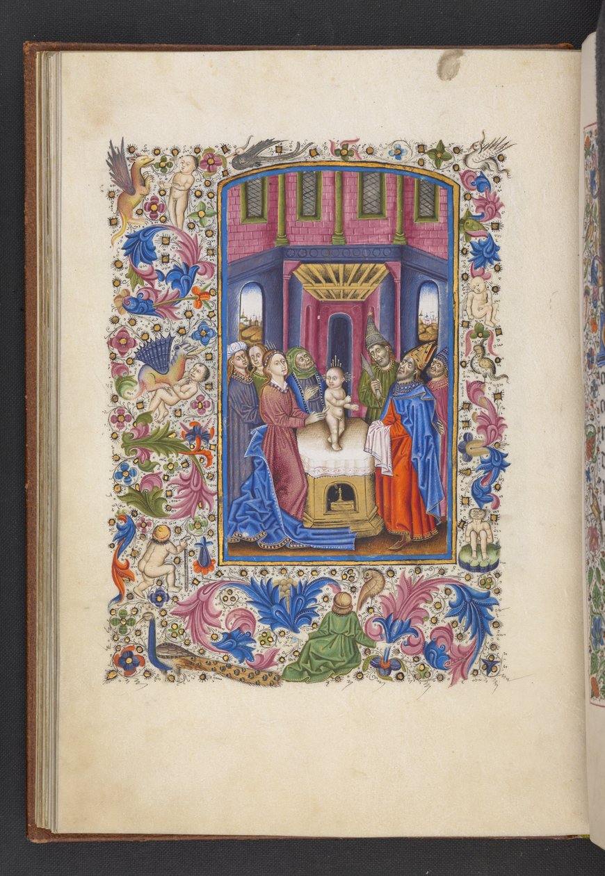 Lisää MS 50004 f.41v The Circumcision 