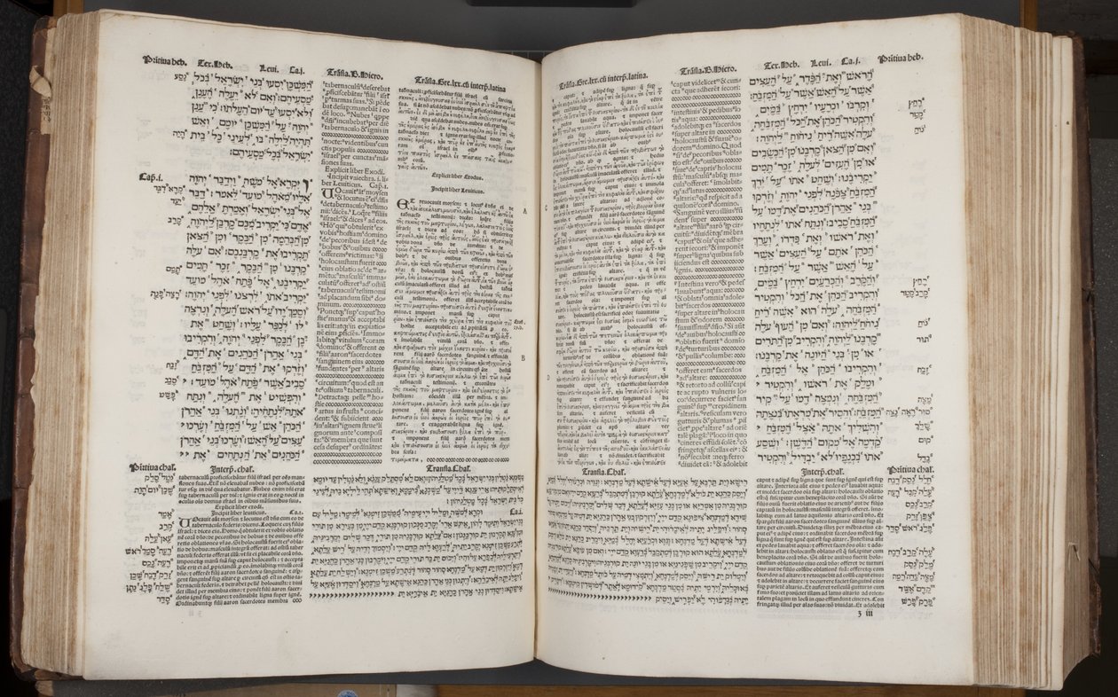 Complutensian Polyglot Bible, painanut Arnao Guillen de Brocar (kaiverrus) tekijältä Spanish School