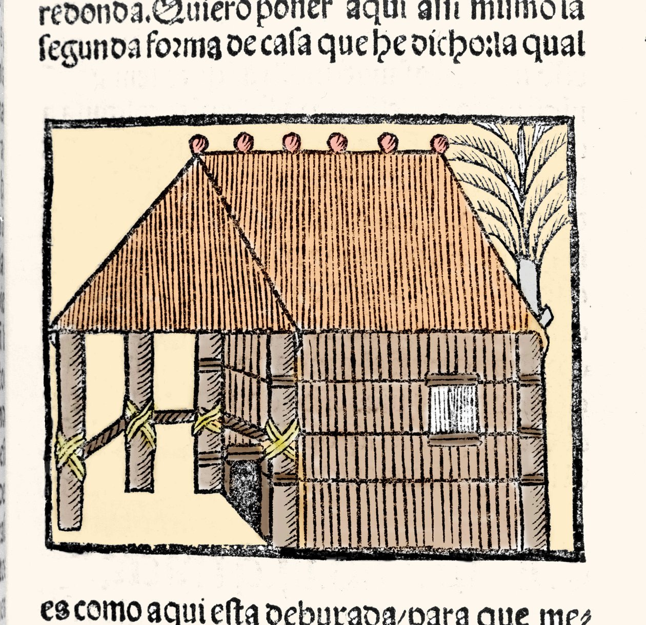Elinympäristö: kuvaus mökkiintiaanista. Kaiverrus Gonzalo Fernandez de Oviedon tai Hernandez de Oviedo y Valdesin (1478-1557) kirjasta "Intian, saarten ja valtameren mantereen yleinen historia" tekijältä Spanish School
