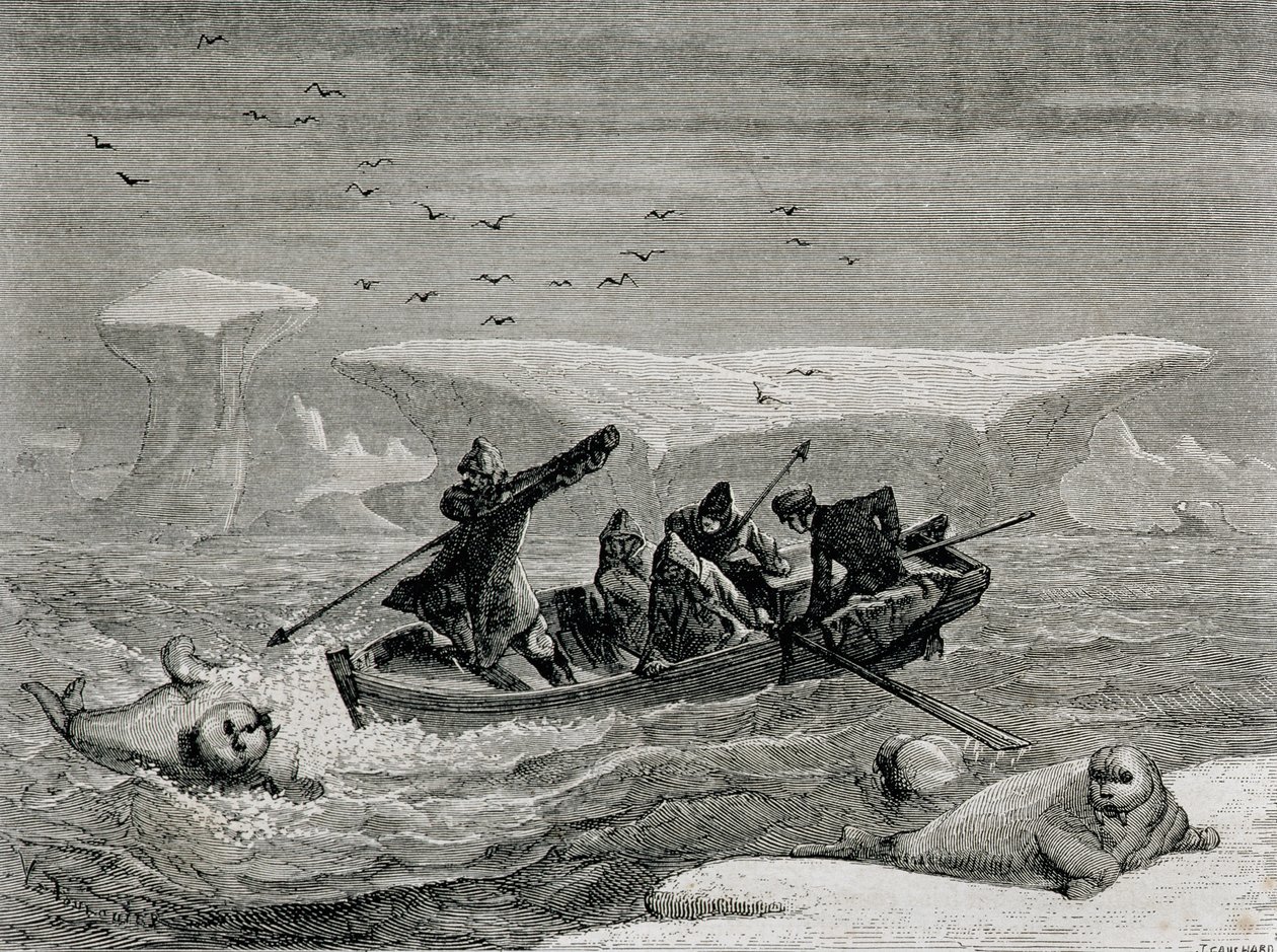 Metsästys mursua harppuuneilla Huippuvuorten saarilla, Huippuvuorten saaristossa, kuvitus teoksesta "Palu maailmaan", 1865 tekijältä Spanish School