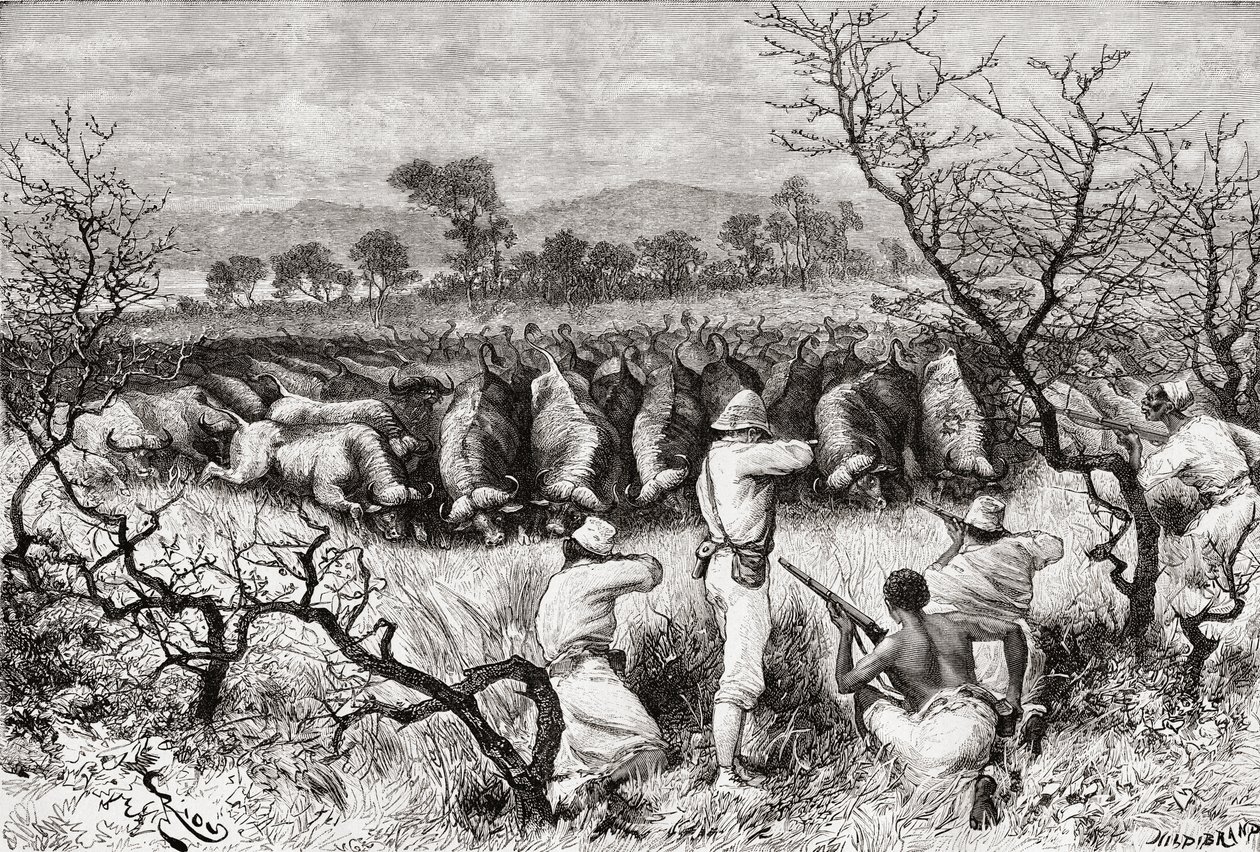 Metsästyspuhveli Keski-Afrikassa 1800-luvun lopulla, "Africa Pintoresca", julkaistu 1888 tekijältä Spanish School