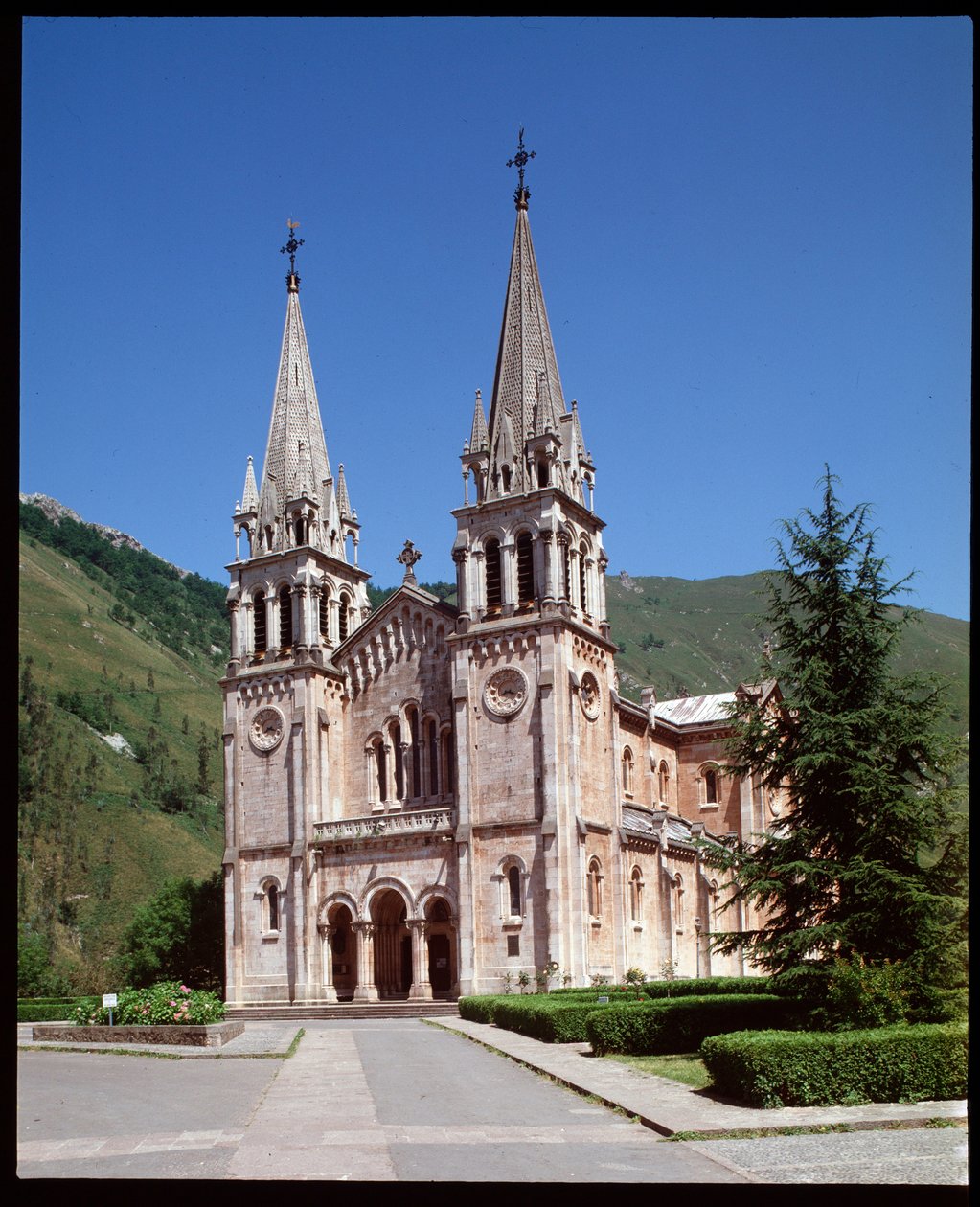 Näkymä basilikaan tekijältä Spanish School