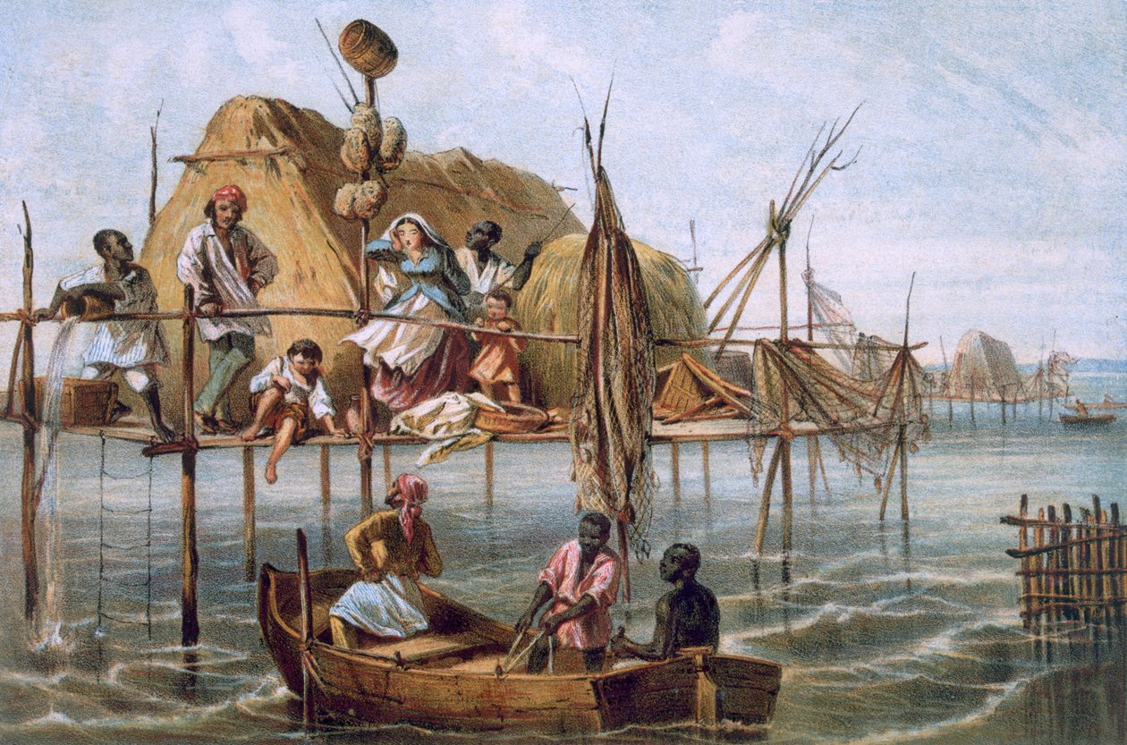 Sienikalastajien asunto tai sienenkalastajien talo, Kuuba tekijältä Spanish School