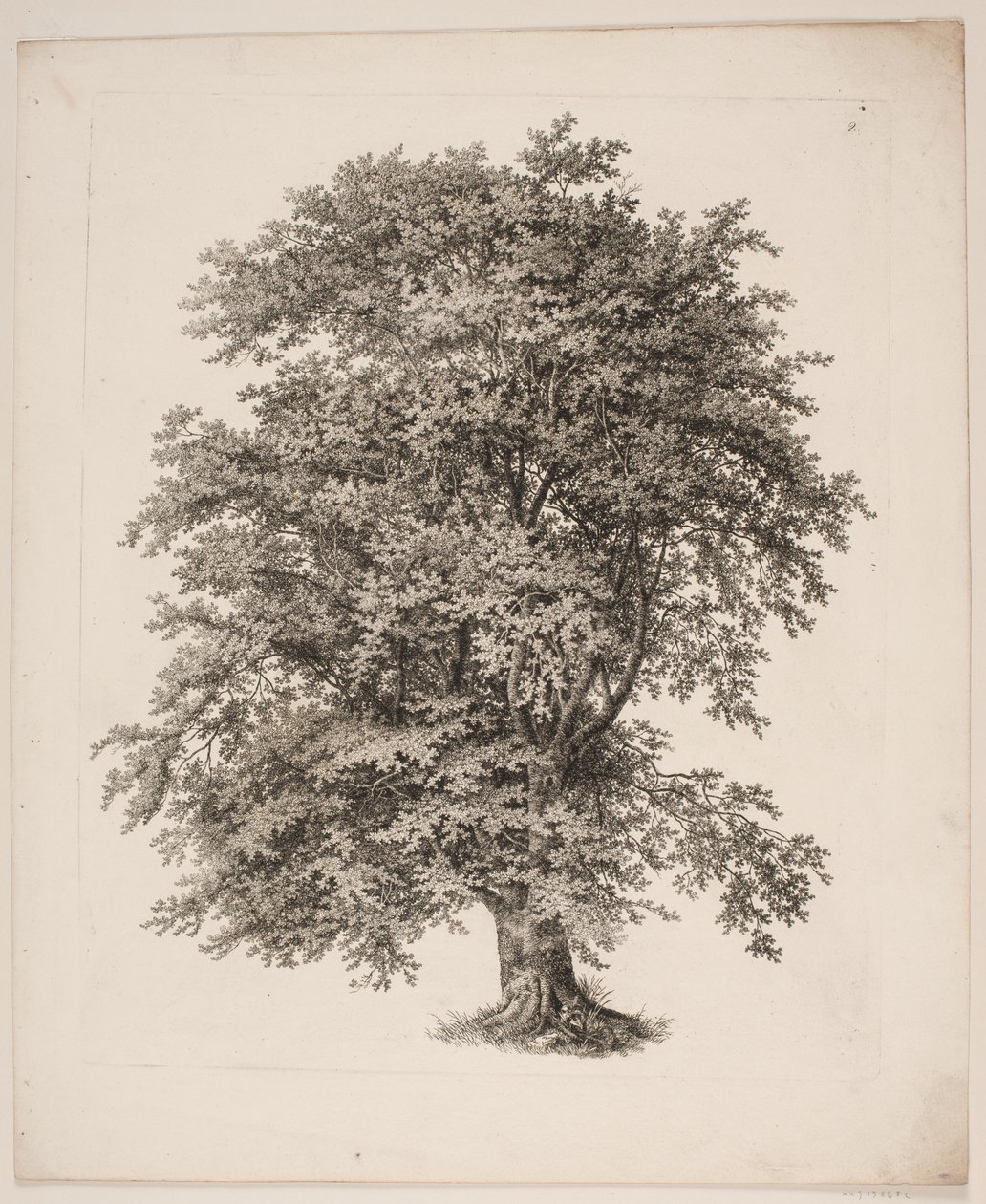 "Studies after Nature with Regard to Landscape Drawing by S.H. Petersen", nro 2 tekijältä Søren Henrik Petersen