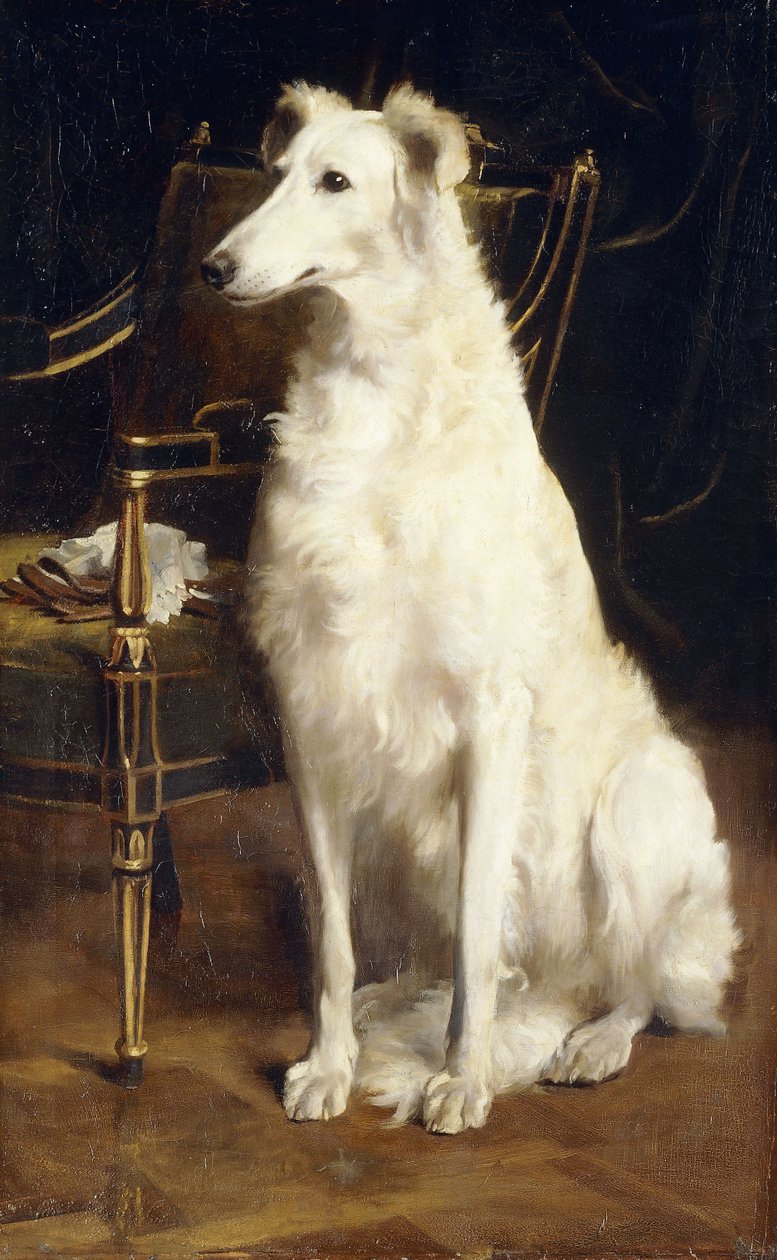 Borzoi tuolin vieressä tekijältä St. George Hare