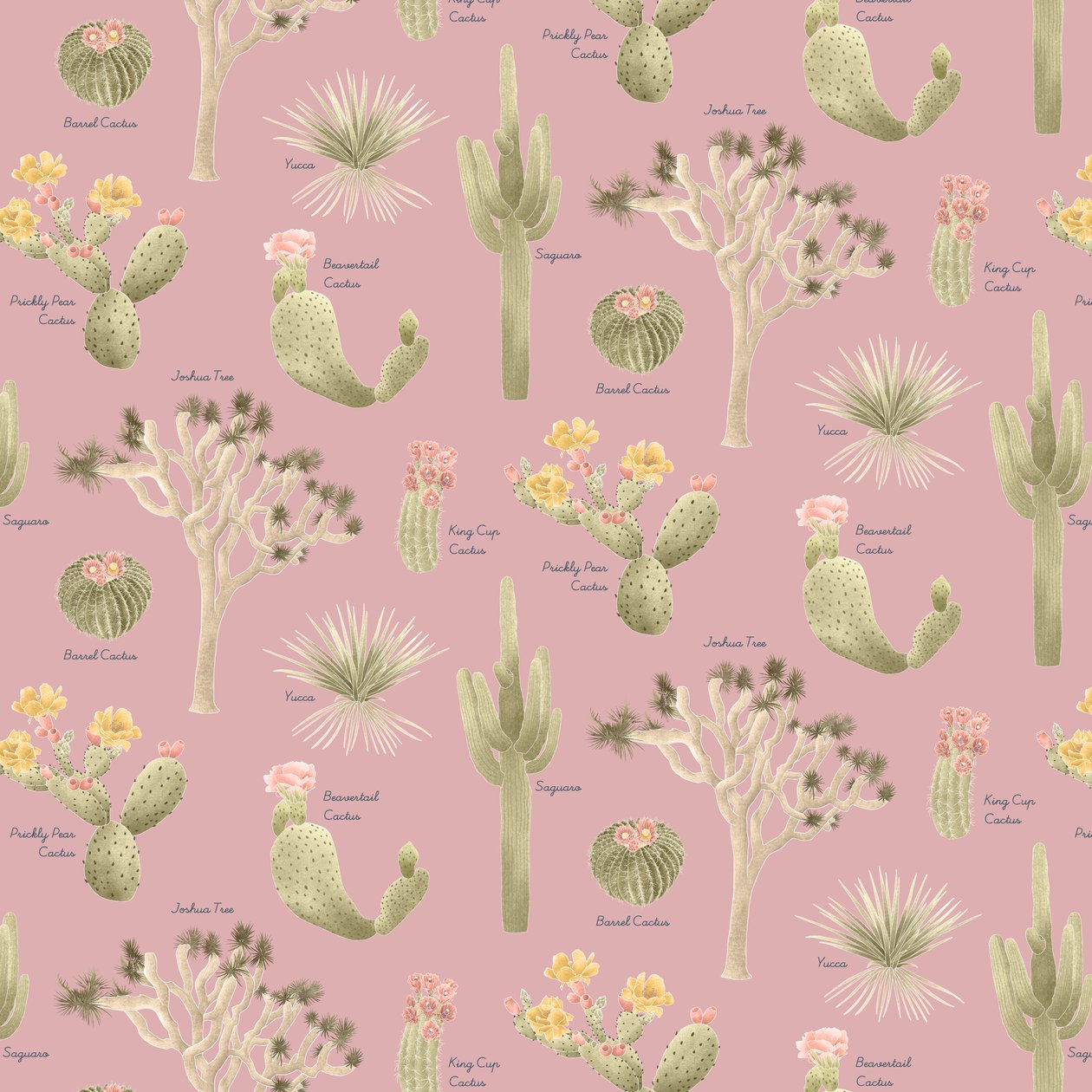 Mojave Desert Cacti -kuvio, 2021 (grafiittikynä ja digitaalinen) tekijältä Stacy Hsu