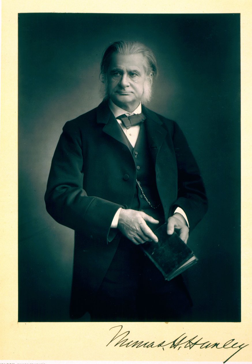 Professori Thomas H. Huxley (1825-95), biologi, muotokuva tekijältä Stanislaus Walery