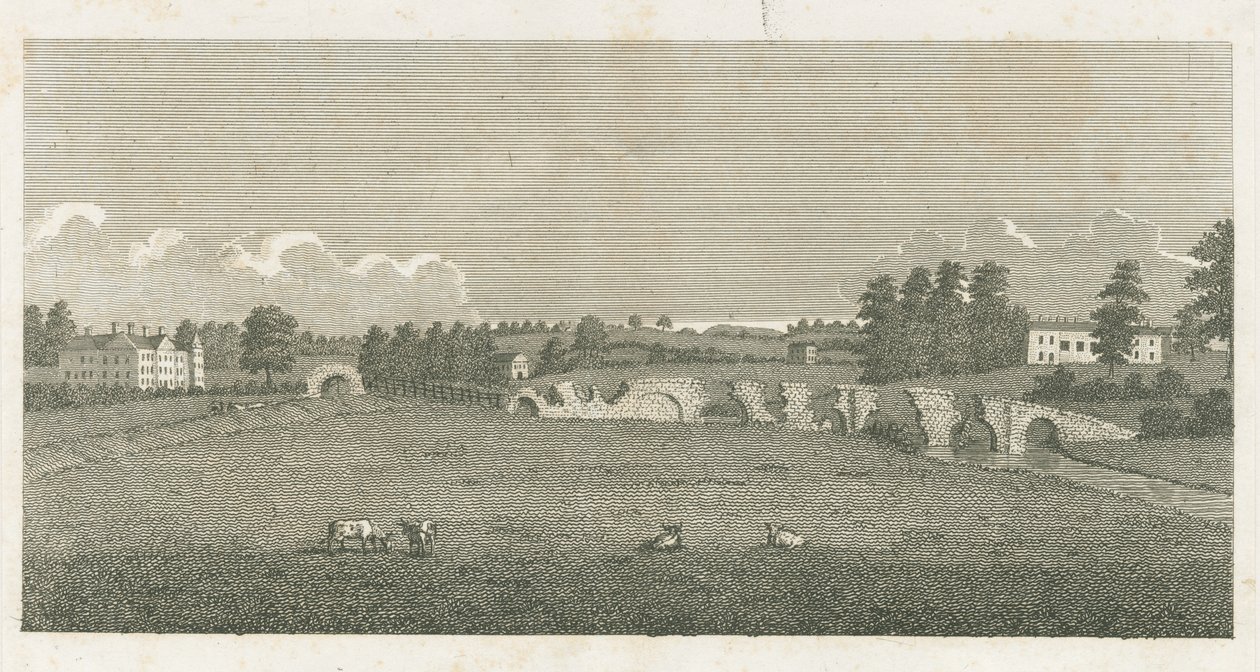 Wolseley Bridge: kaiverrus tekijältä Stebbing Shaw
