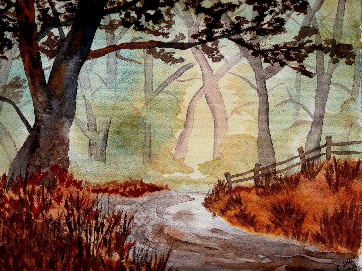 Lumottu metsä tekijältä Steegs Art Karin