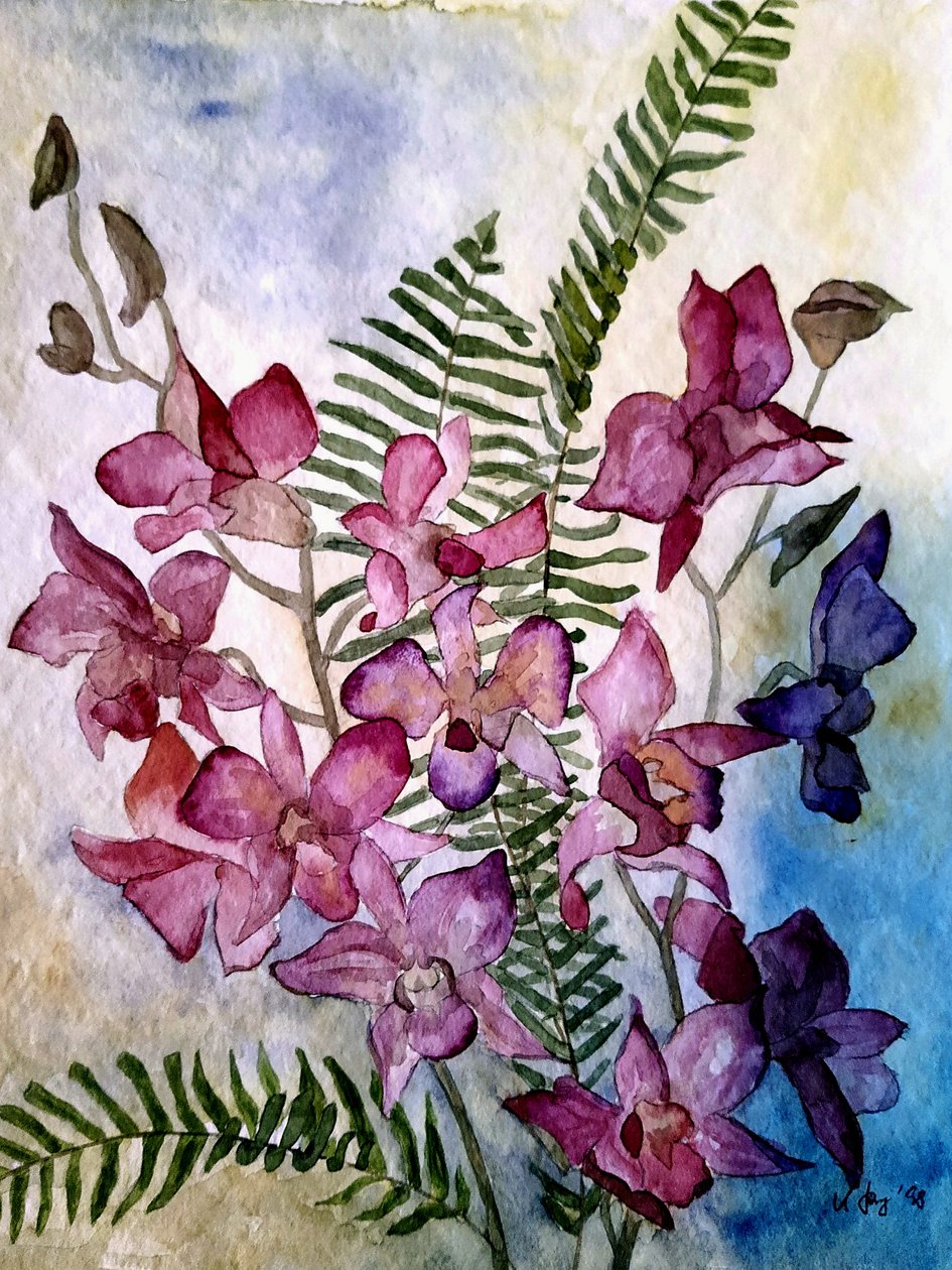 Orkideat tekijältä Steegs Art Karin