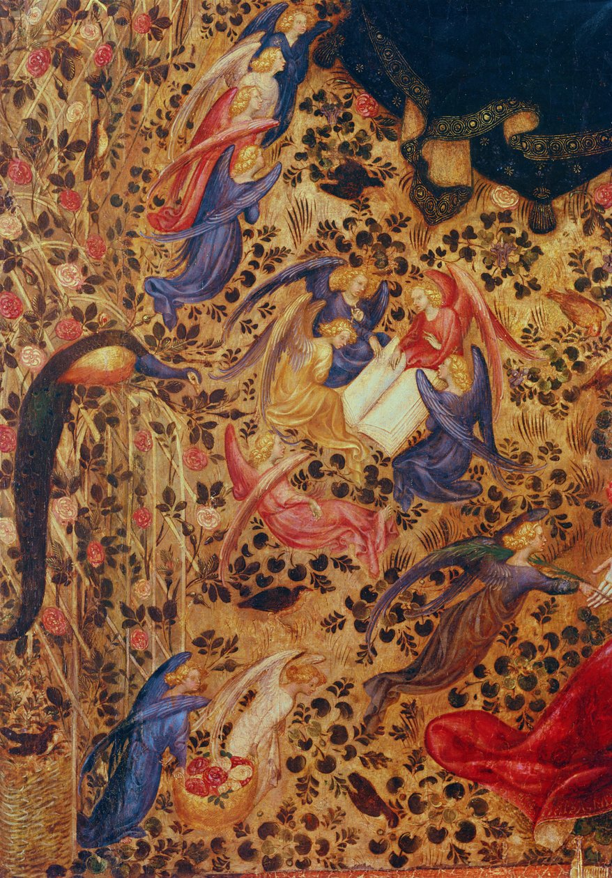 Madonna ruusupensaan kanssa tekijältä Stefano di Giovanni da Verona