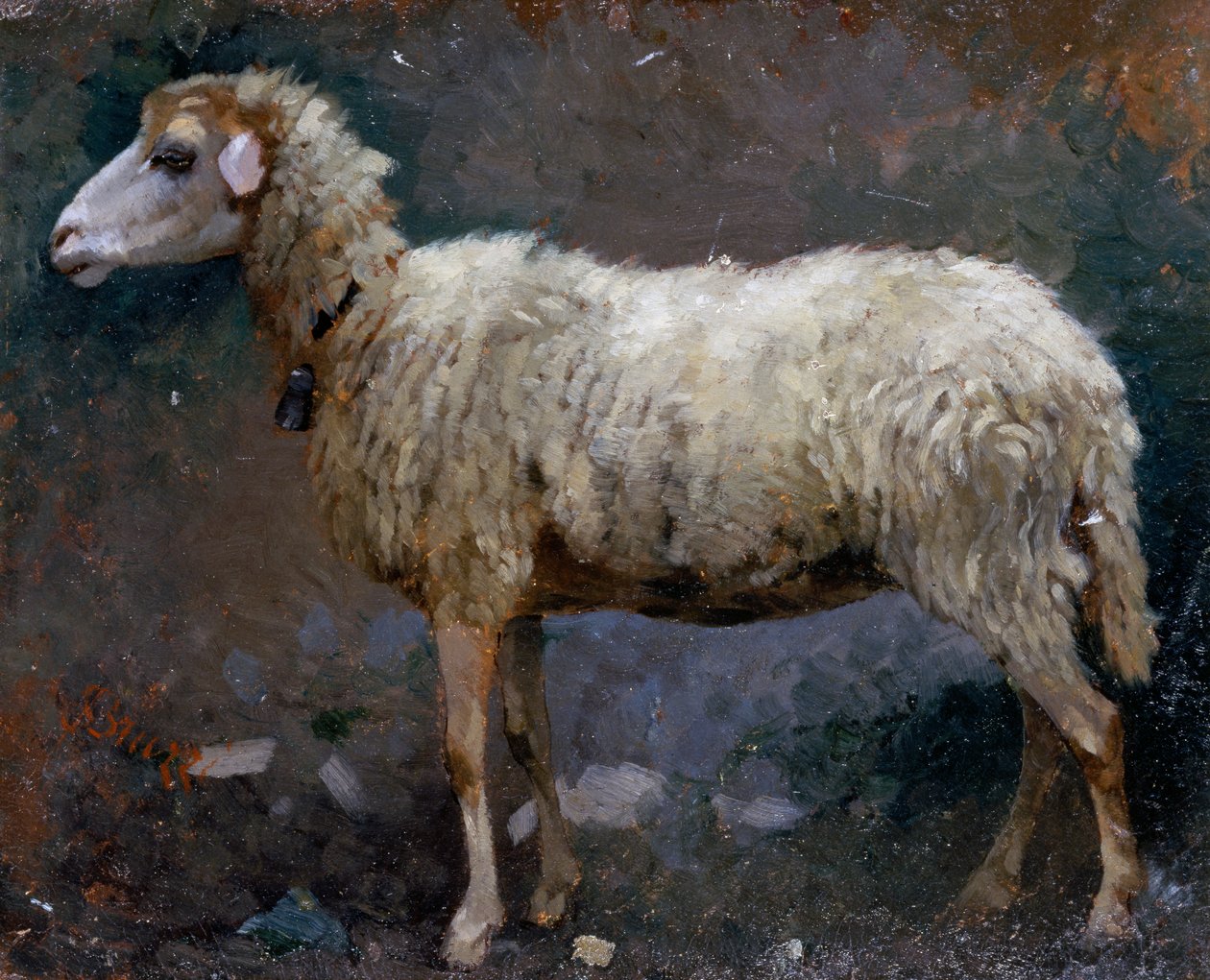 Lammas profiilissa, maalaus Stefano Bruzzi (1835-1911), öljy pahville tekijältä Stefano Bruzzi