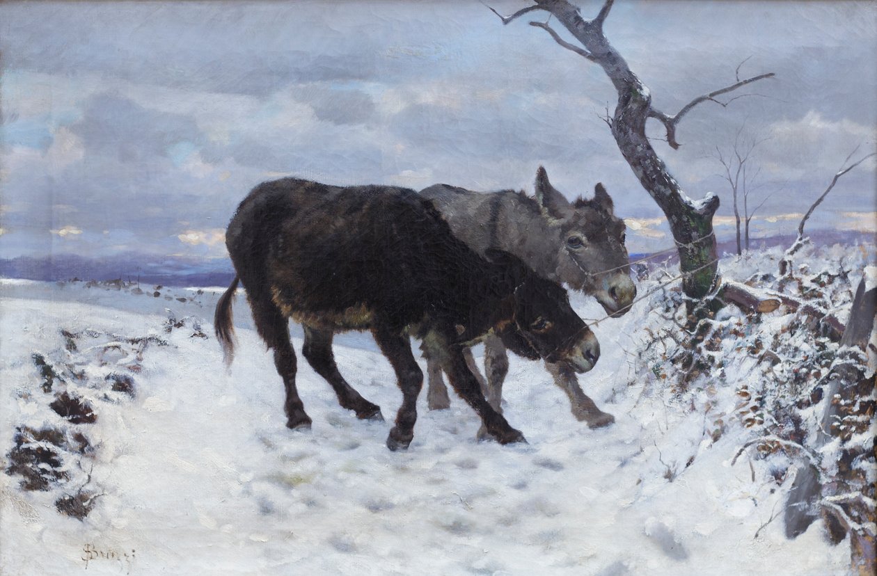 Kaksi aasia lumessa tekijältä Stefano Bruzzi