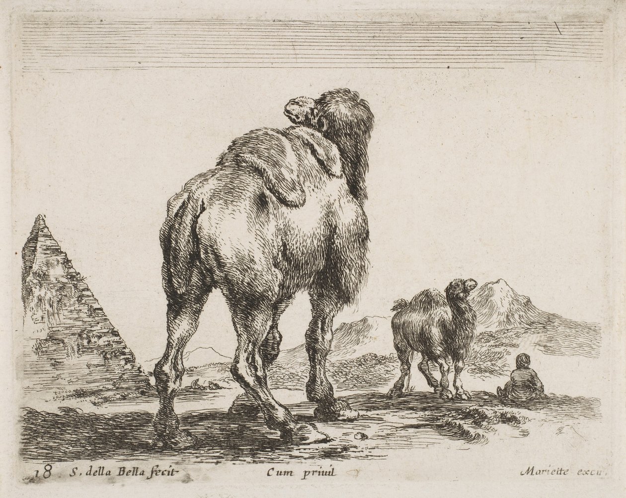 Kameli takaa katsottuna, pubi. 1641 Diversi Animalilta tekijältä Stefano della Bella