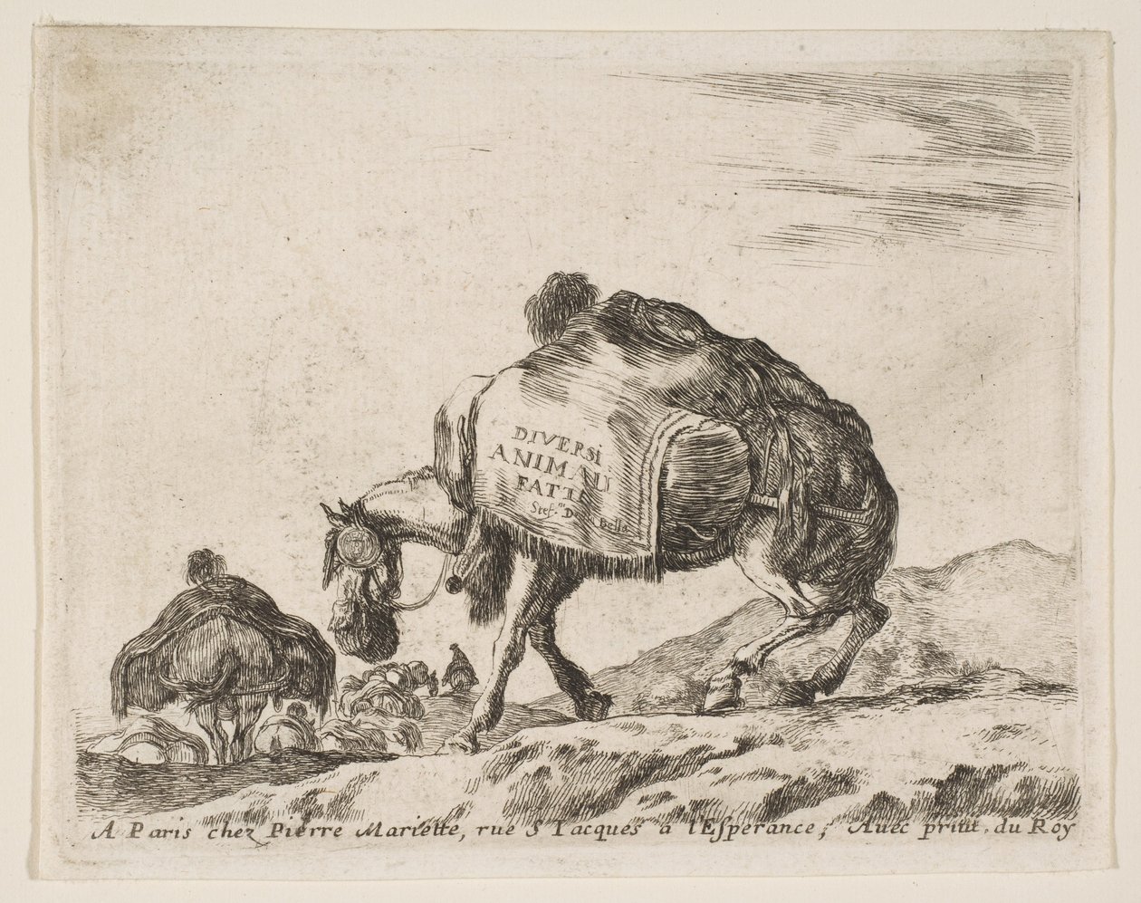 Etukappale eri eläimille: Pack Horse, n. 1641. tekijältä Stefano della Bella