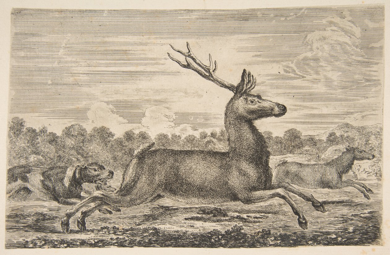 Koirat jahtaavat polttaria ja hirveä, n. 1654. tekijältä Stefano della Bella