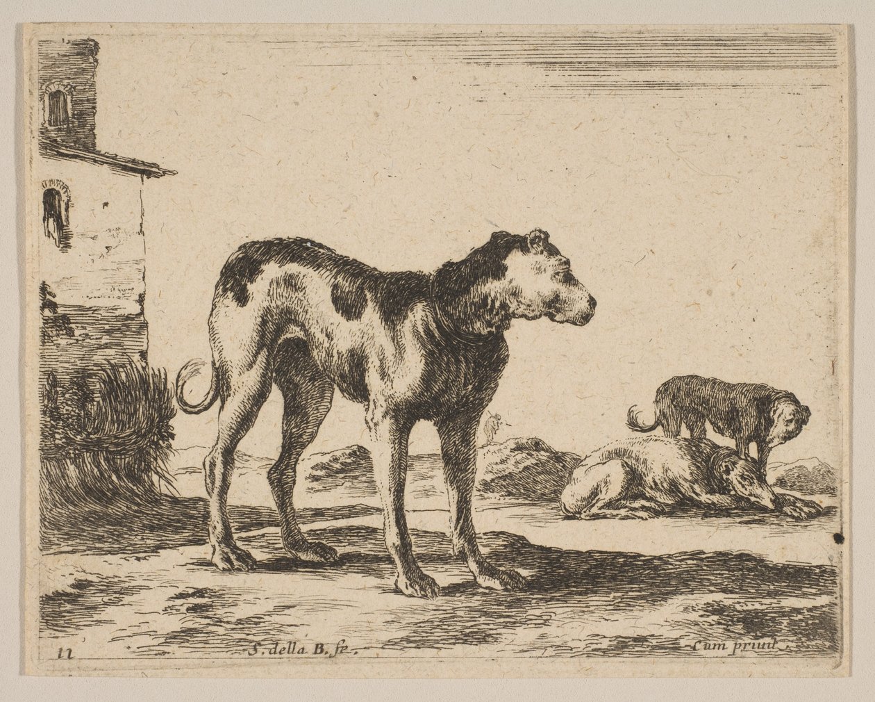 Levy 11: koirat, eri eläimistä Diversi animali, n. 1641. tekijältä Stefano della Bella