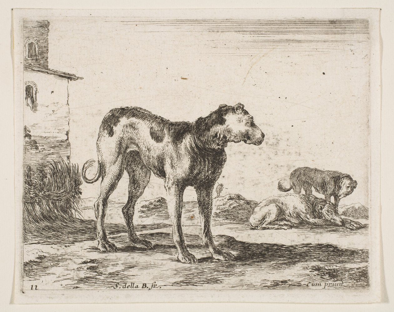 Levy 11: koirat, eri eläimistä Diversi animali, n. 1641. tekijältä Stefano della Bella