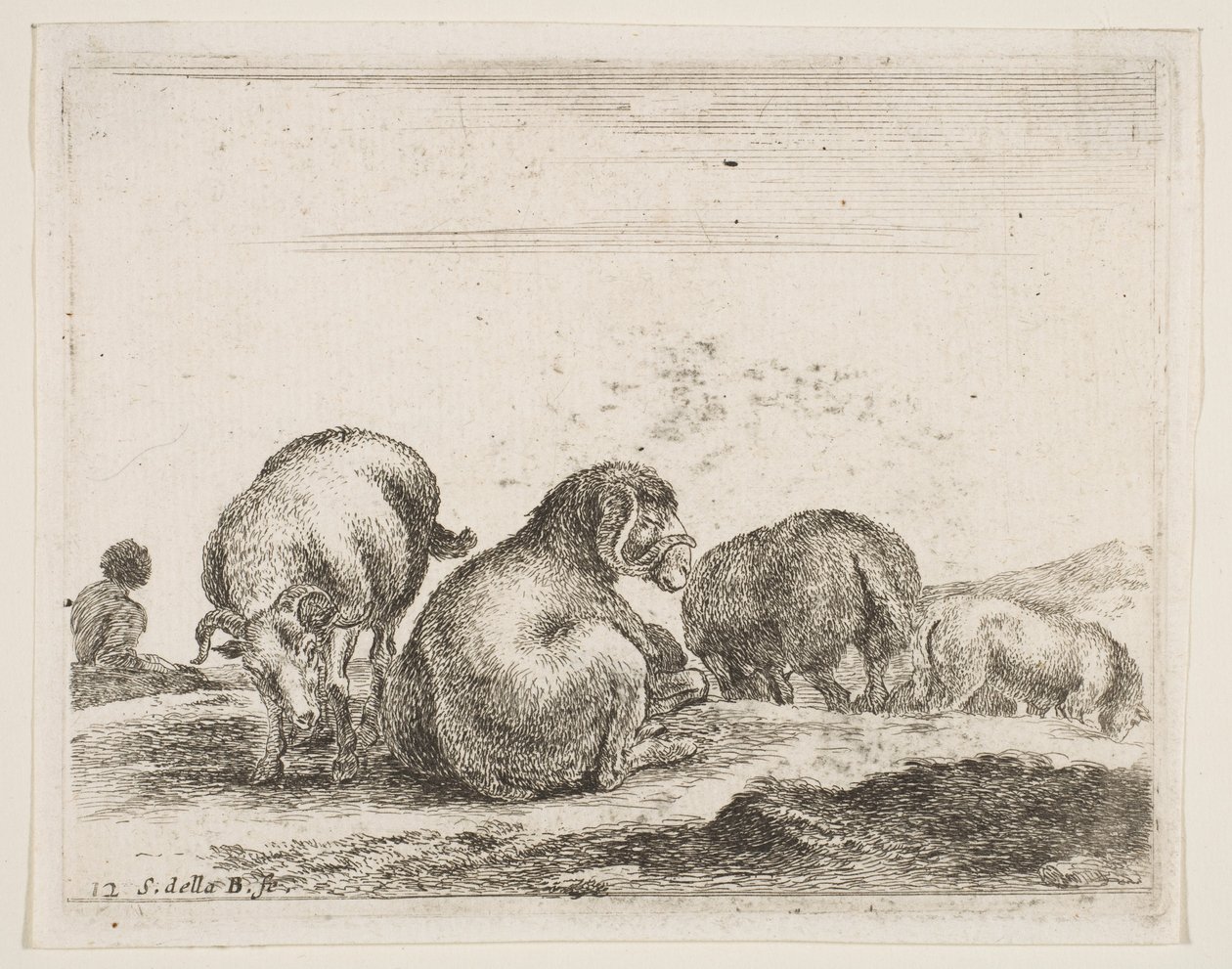 Levy 12: lampaat ja pässi laitumella, eri eläimistä Diversi animali, n. 1641. tekijältä Stefano della Bella