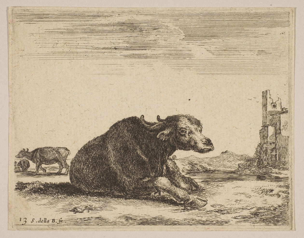 Levy 13: puhveli makuulla, eri eläimistä Diversi animali, n. 1641. tekijältä Stefano della Bella